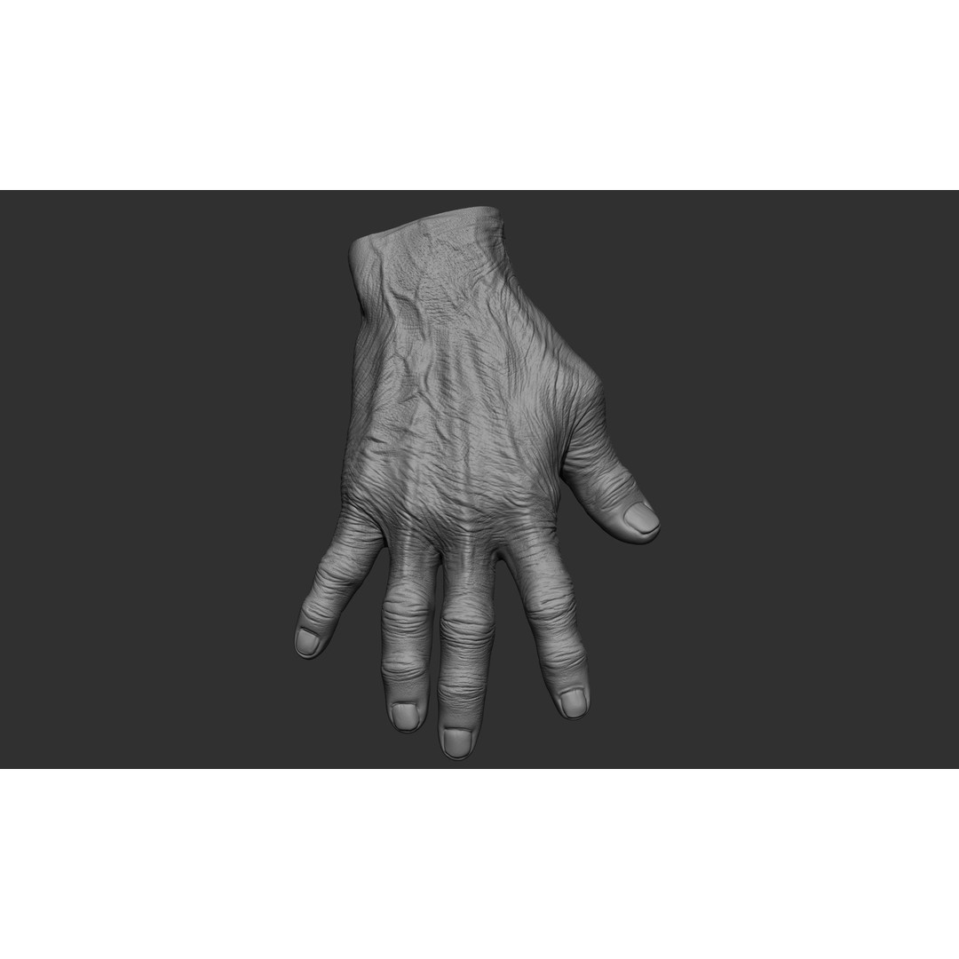 Old Man Hand Poses 3D Model – Realistic ZBrush Anatomy Collection - View 36