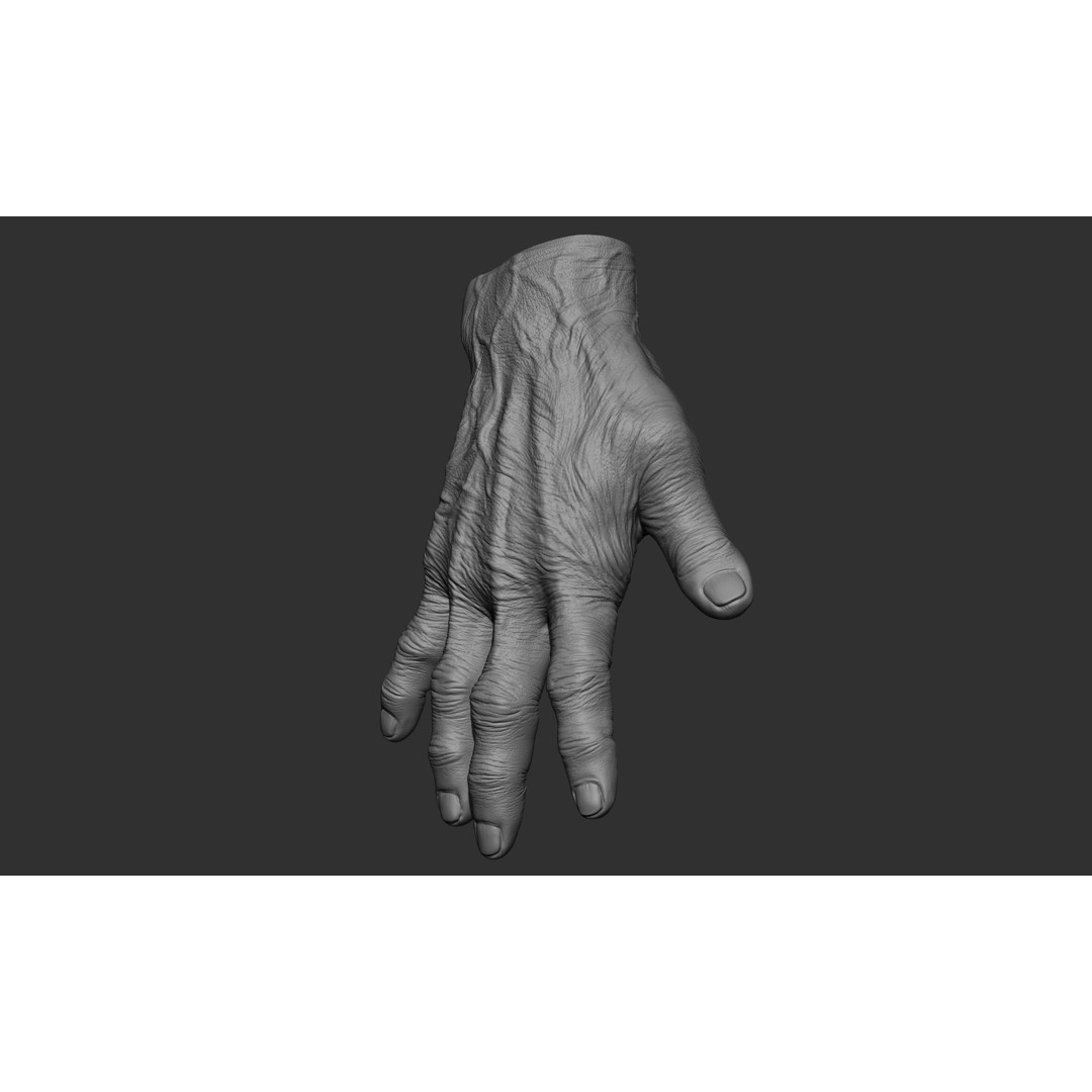 Old Man Hand Poses 3D Model – Realistic ZBrush Anatomy Collection - View 37