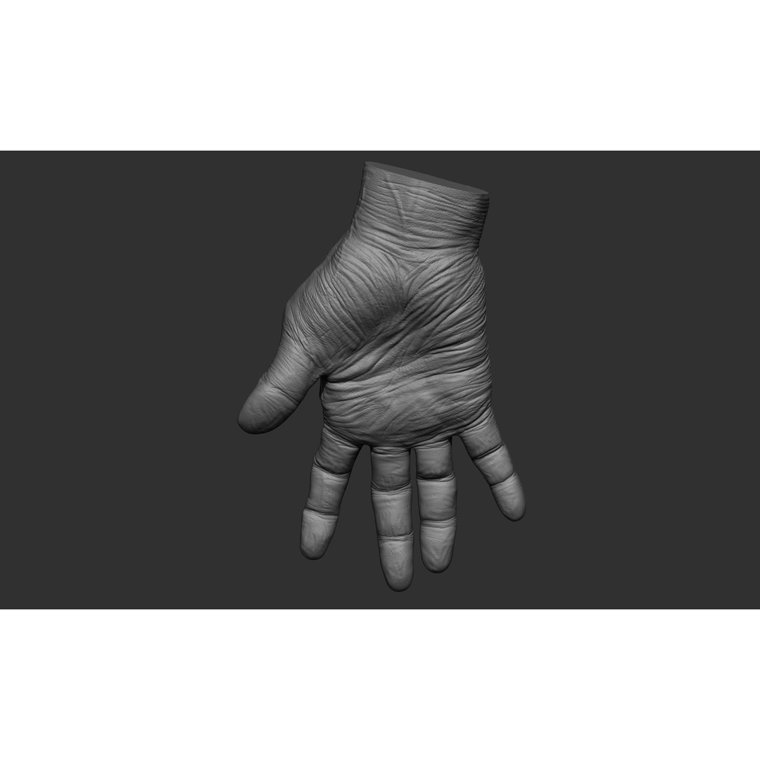 Old Man Hand Poses 3D Model – Realistic ZBrush Anatomy Collection - View 39