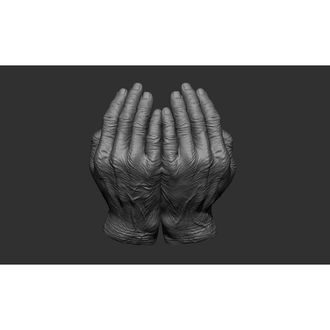 Old Man Hand Poses 3D Model – Realistic ZBrush Anatomy Collection - View 4