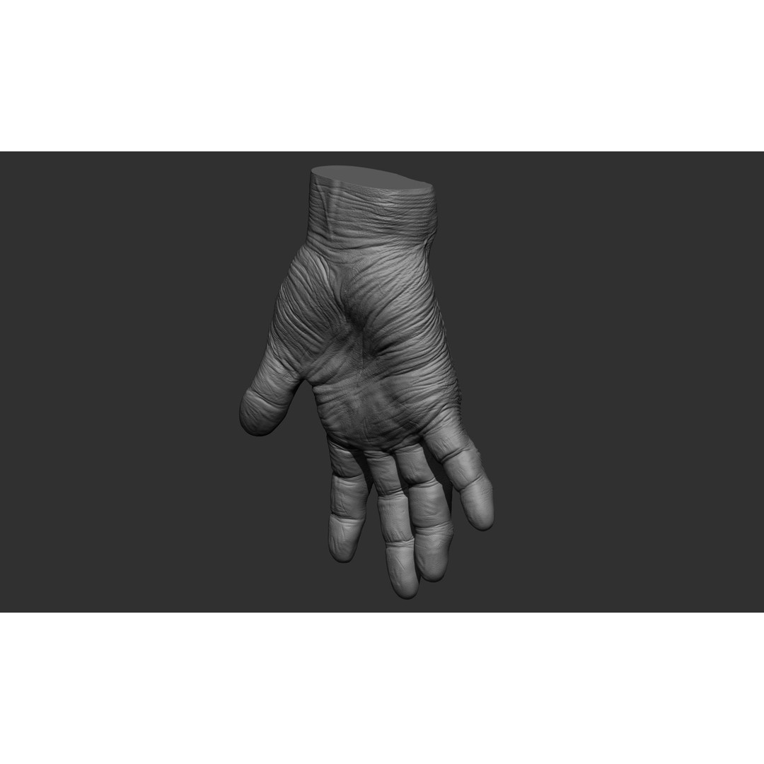 Old Man Hand Poses 3D Model – Realistic ZBrush Anatomy Collection - View 40