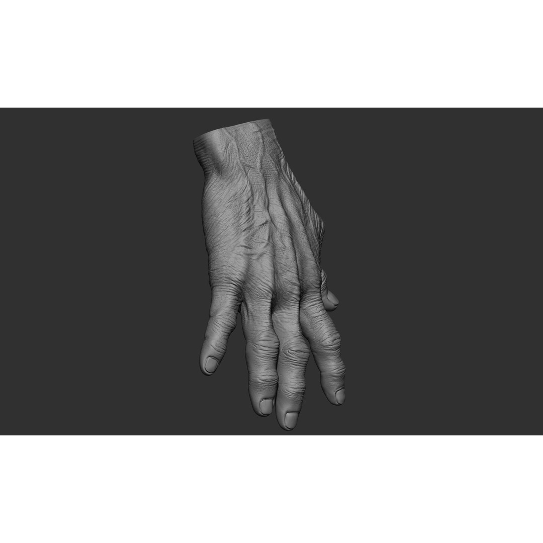 Old Man Hand Poses 3D Model – Realistic ZBrush Anatomy Collection - View 41