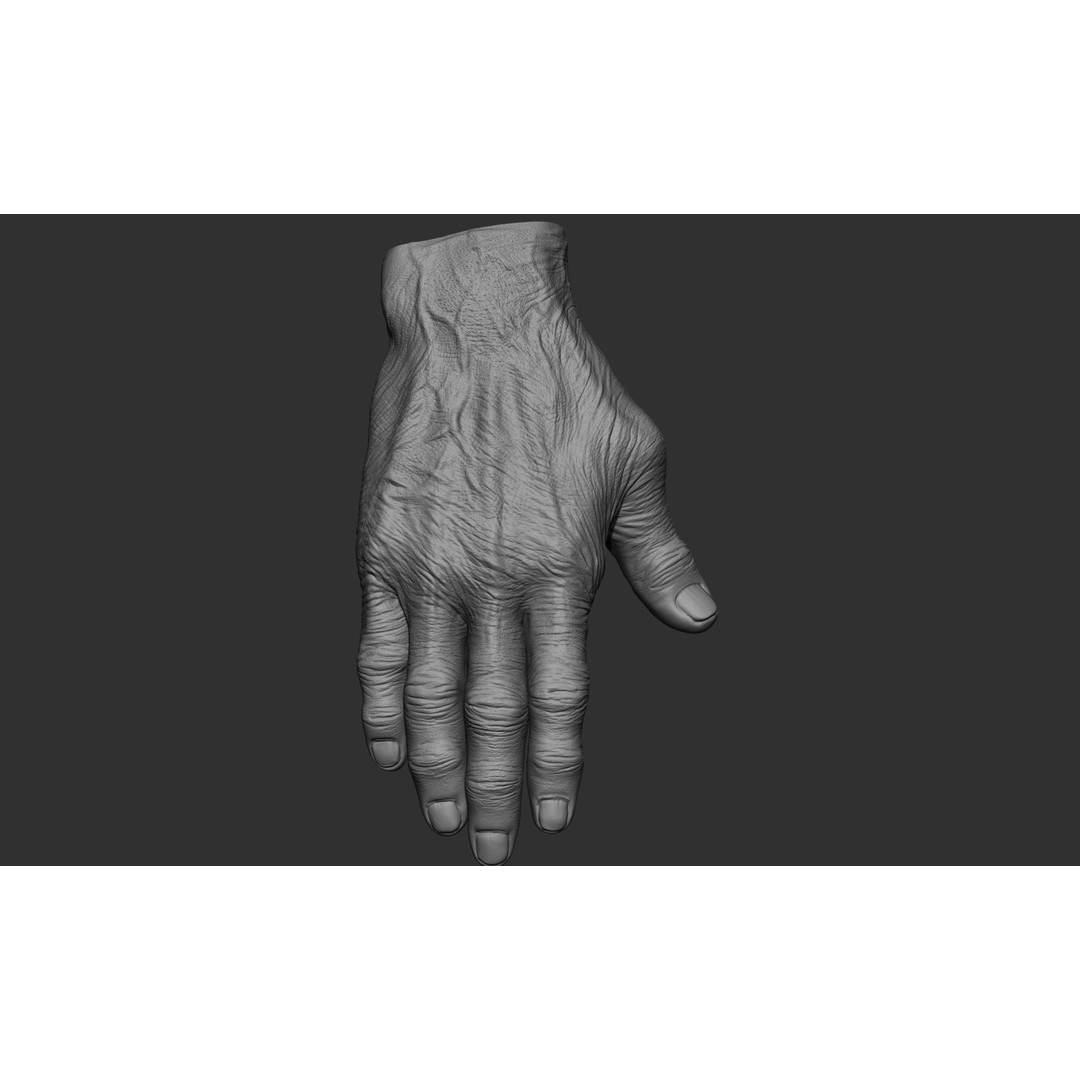 Old Man Hand Poses 3D Model – Realistic ZBrush Anatomy Collection - View 42
