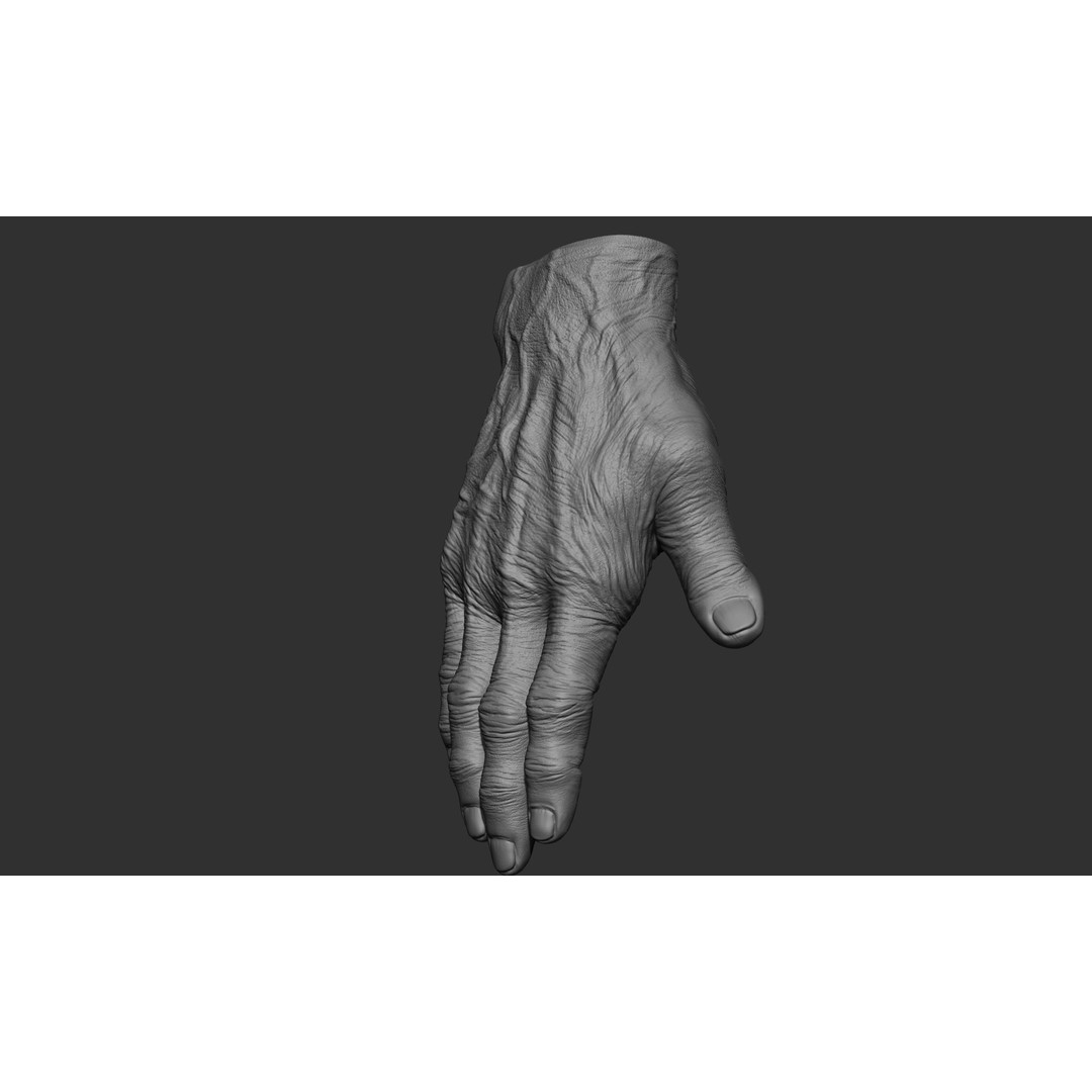 Old Man Hand Poses 3D Model – Realistic ZBrush Anatomy Collection - View 43