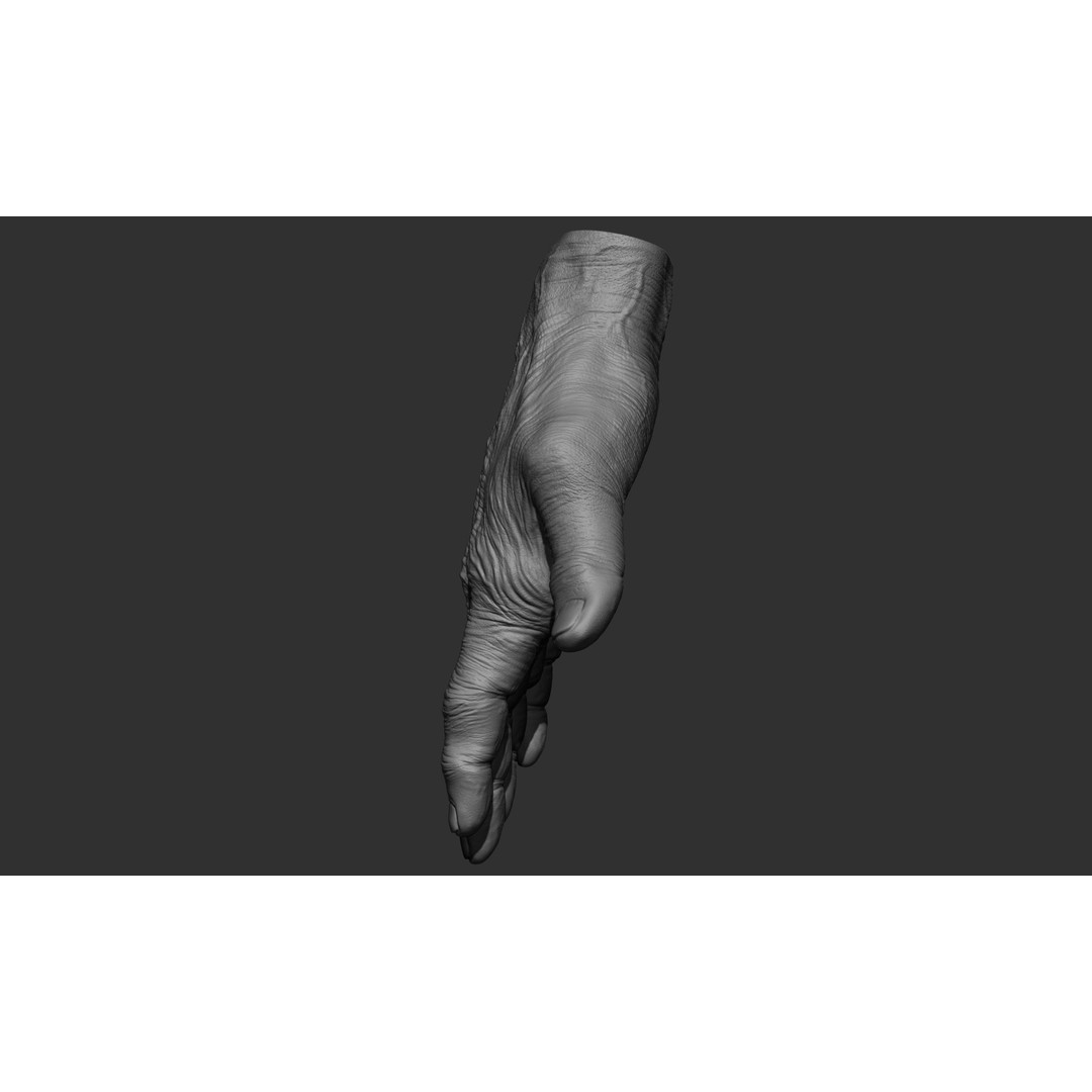 Old Man Hand Poses 3D Model – Realistic ZBrush Anatomy Collection - View 44