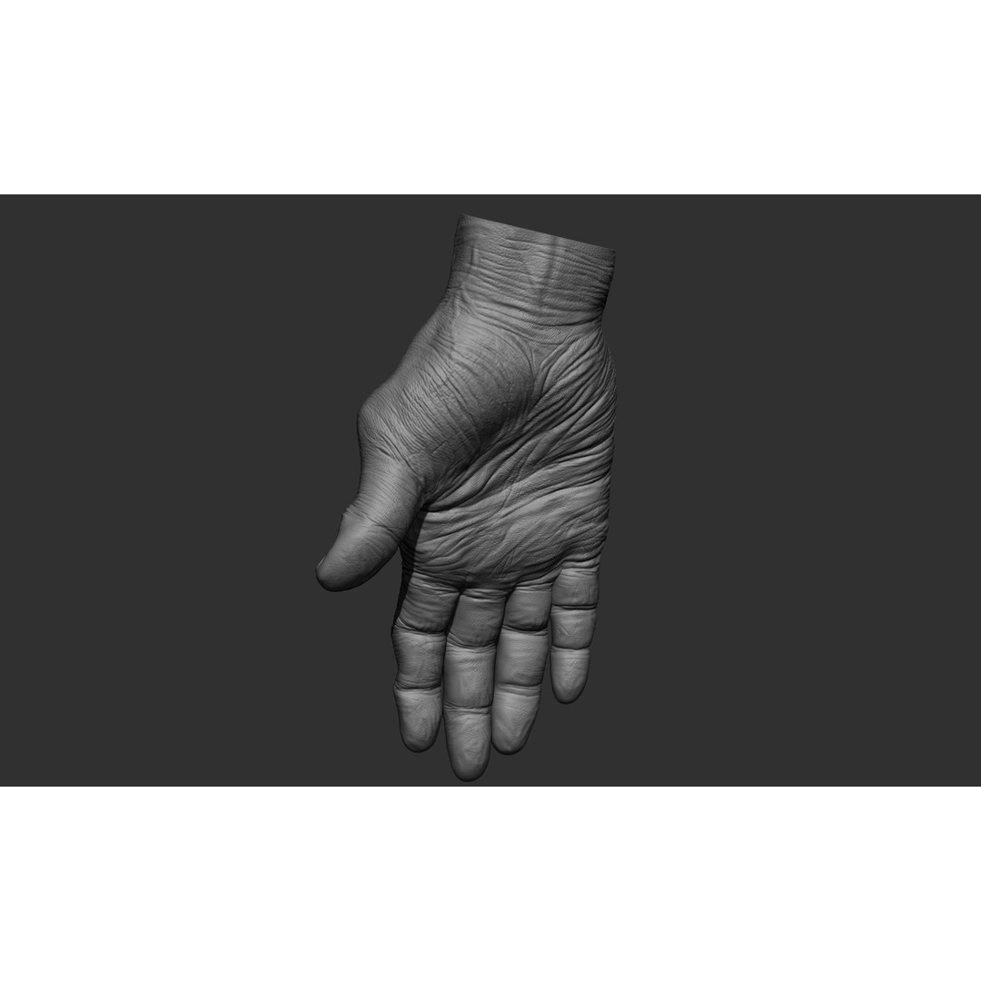 Old Man Hand Poses 3D Model – Realistic ZBrush Anatomy Collection - View 45