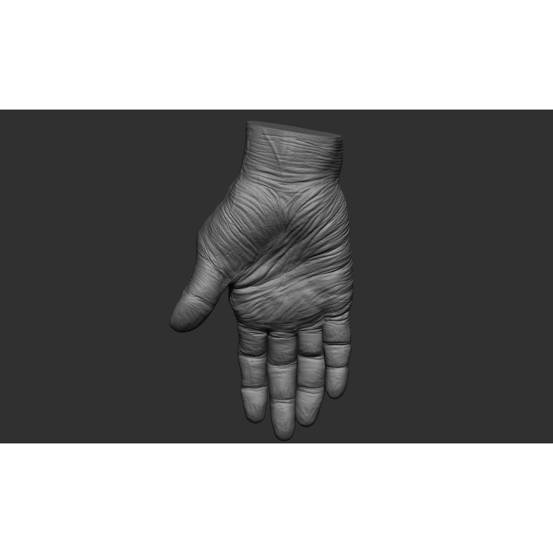 Old Man Hand Poses 3D Model – Realistic ZBrush Anatomy Collection - View 46