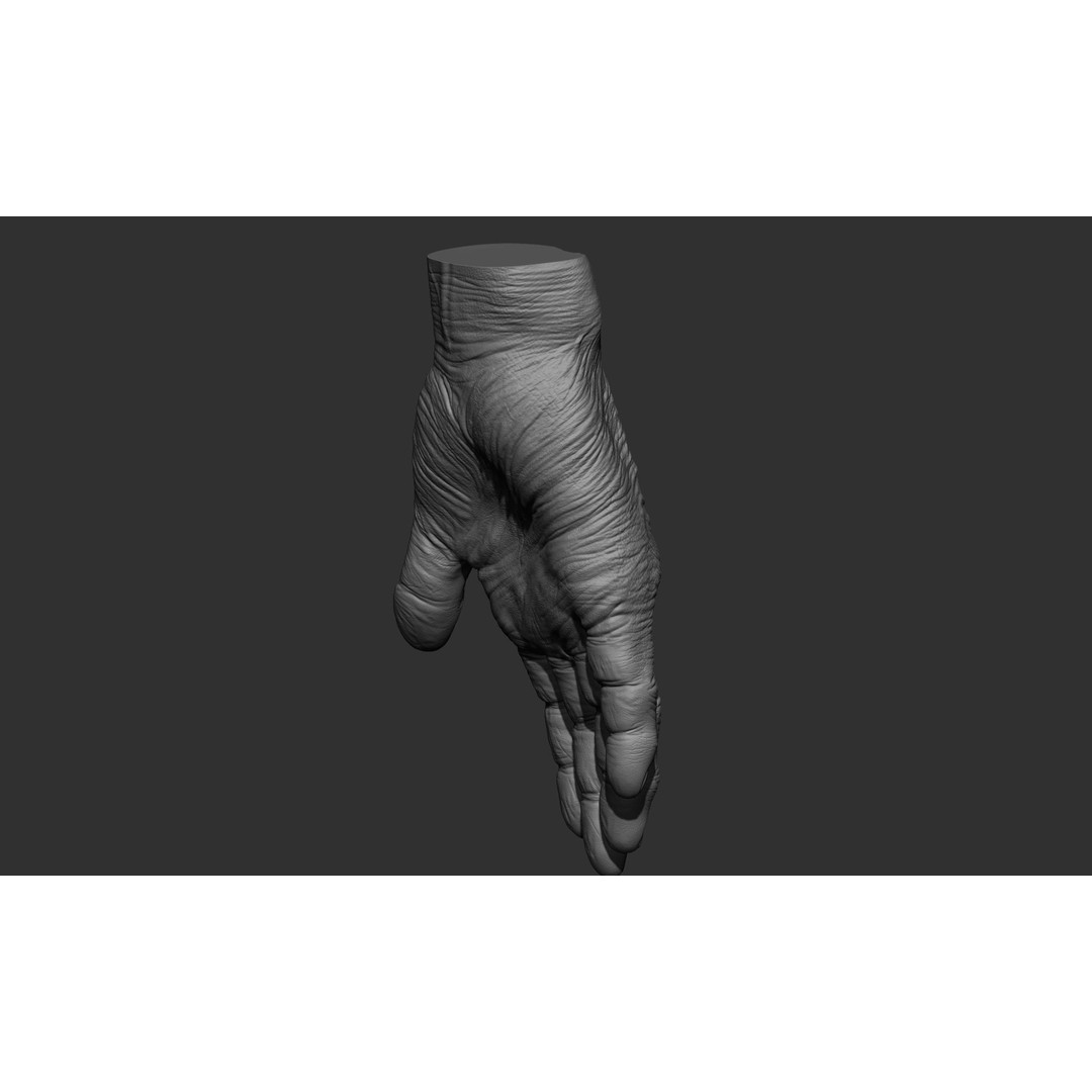 Old Man Hand Poses 3D Model – Realistic ZBrush Anatomy Collection - View 47