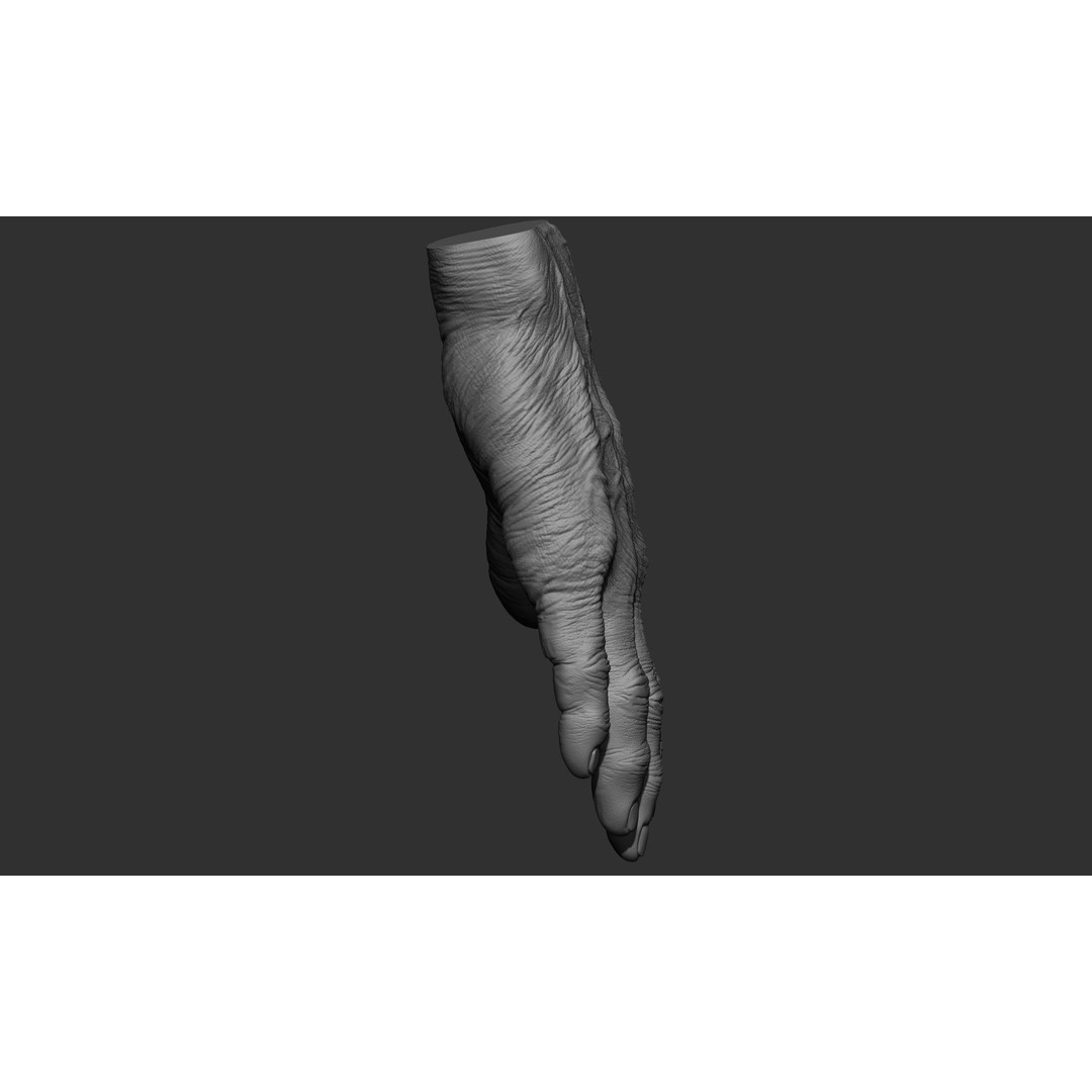 Old Man Hand Poses 3D Model – Realistic ZBrush Anatomy Collection - View 48