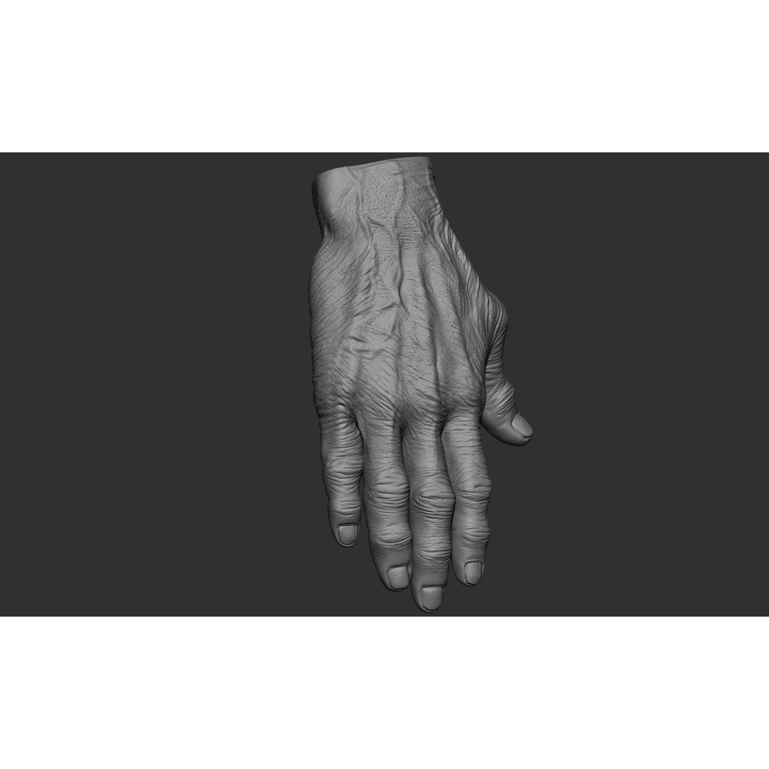 Old Man Hand Poses 3D Model – Realistic ZBrush Anatomy Collection - View 49