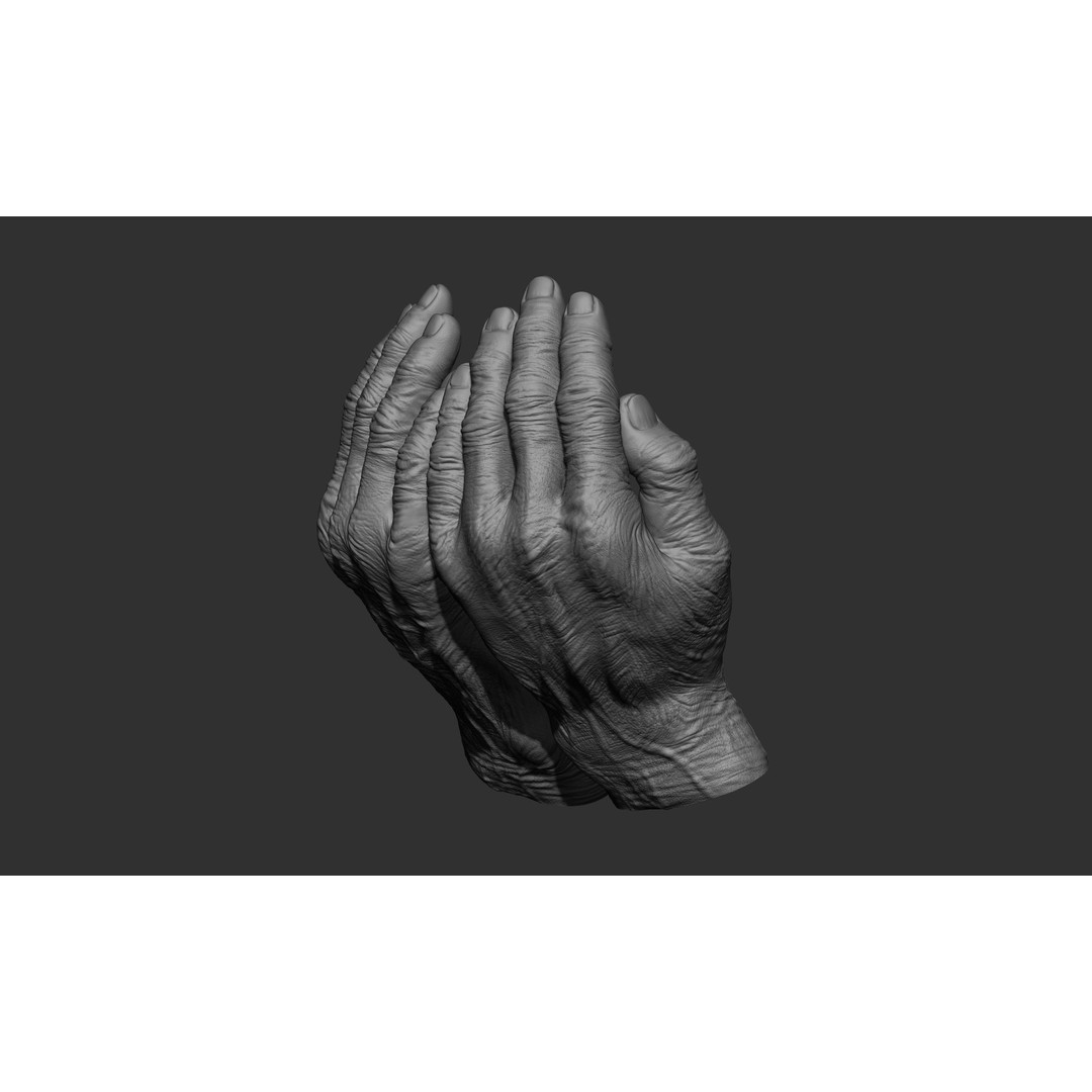 Old Man Hand Poses 3D Model – Realistic ZBrush Anatomy Collection - View 5