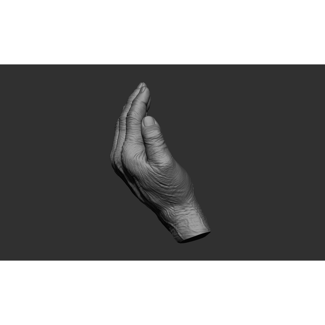 Old Man Hand Poses 3D Model – Realistic ZBrush Anatomy Collection - View 6