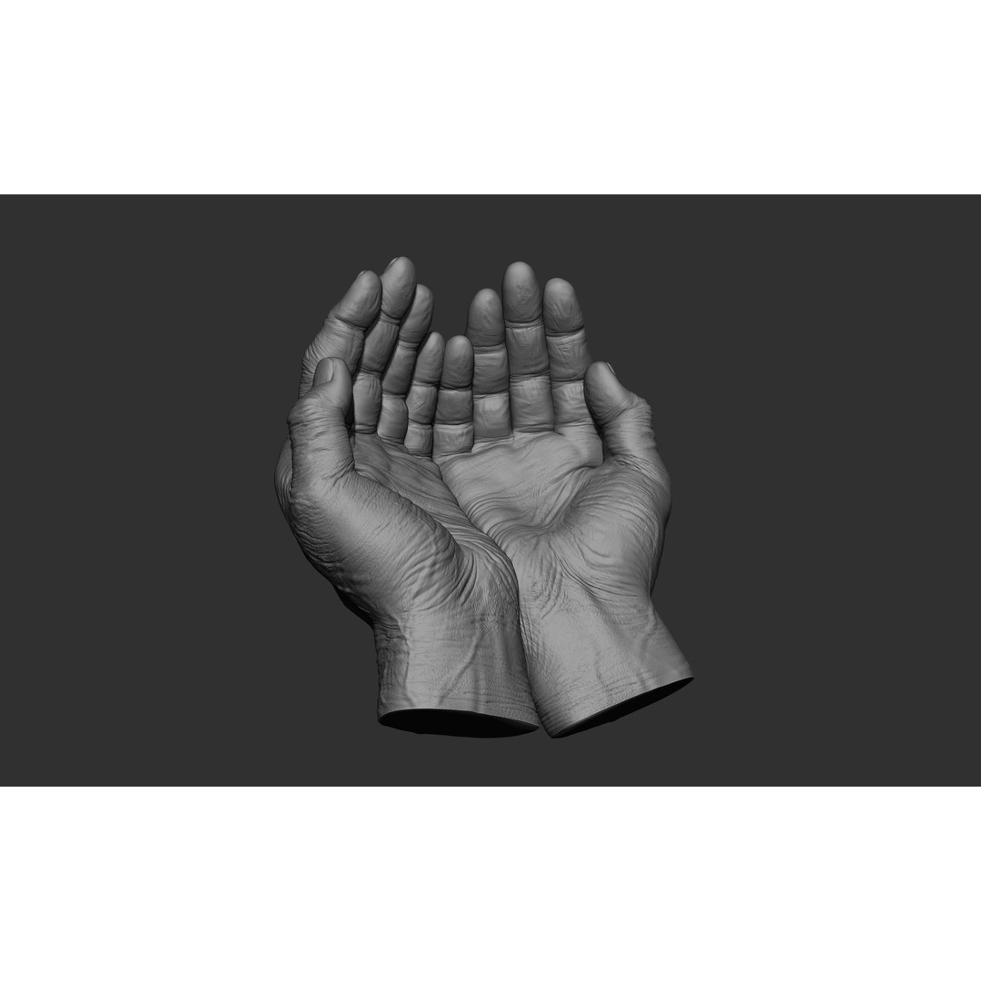 Old Man Hand Poses 3D Model – Realistic ZBrush Anatomy Collection - View 7