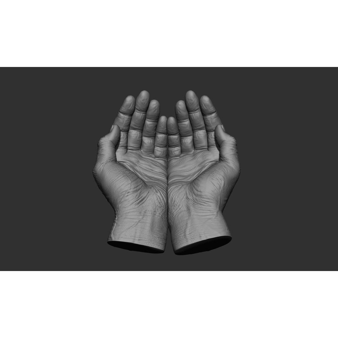 Old Man Hand Poses 3D Model – Realistic ZBrush Anatomy Collection - View 8