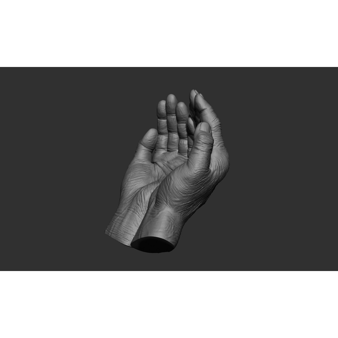 Old Man Hand Poses 3D Model – Realistic ZBrush Anatomy Collection - View 9