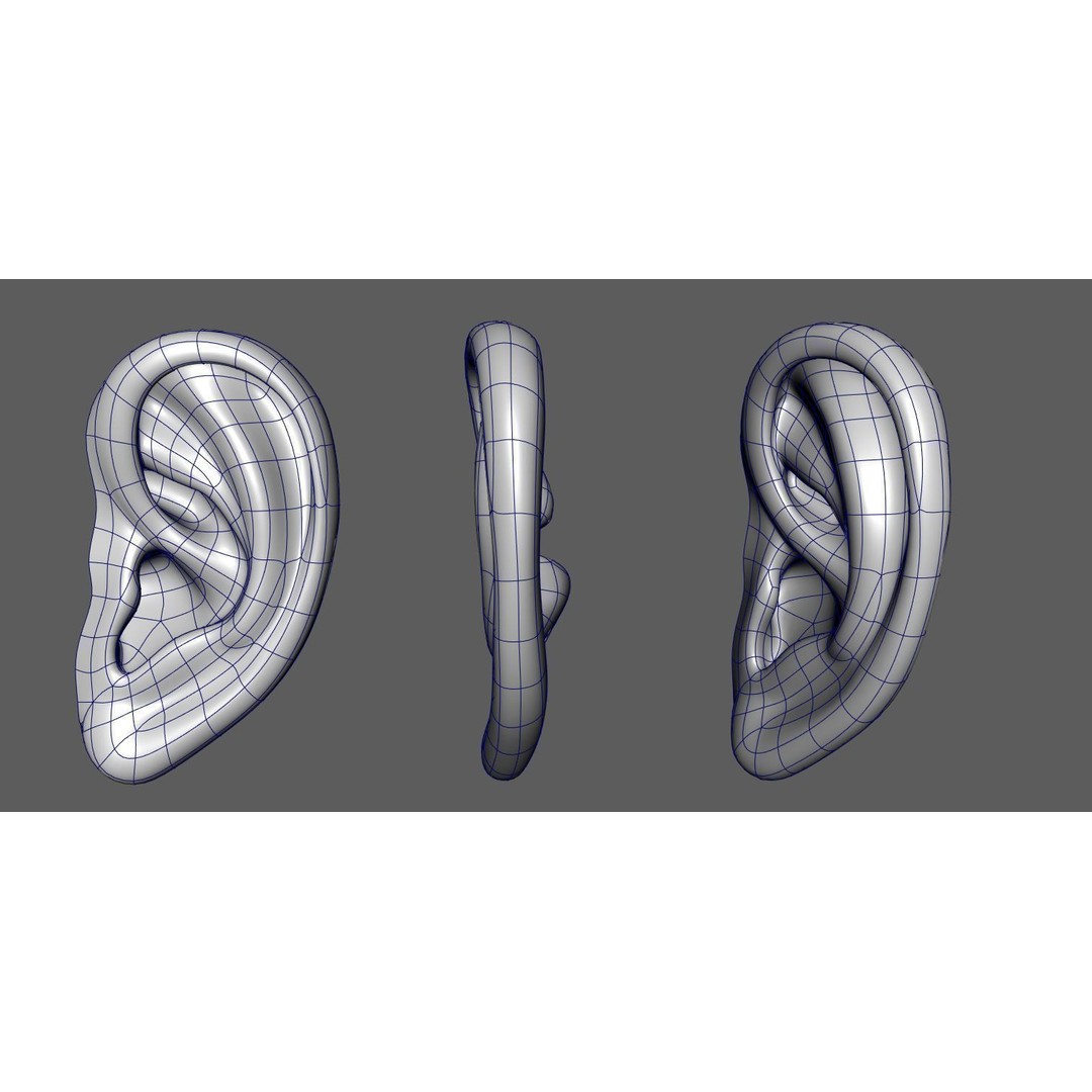 Ear 3D Model – Low Poly Character Anatomy Asset, FBX