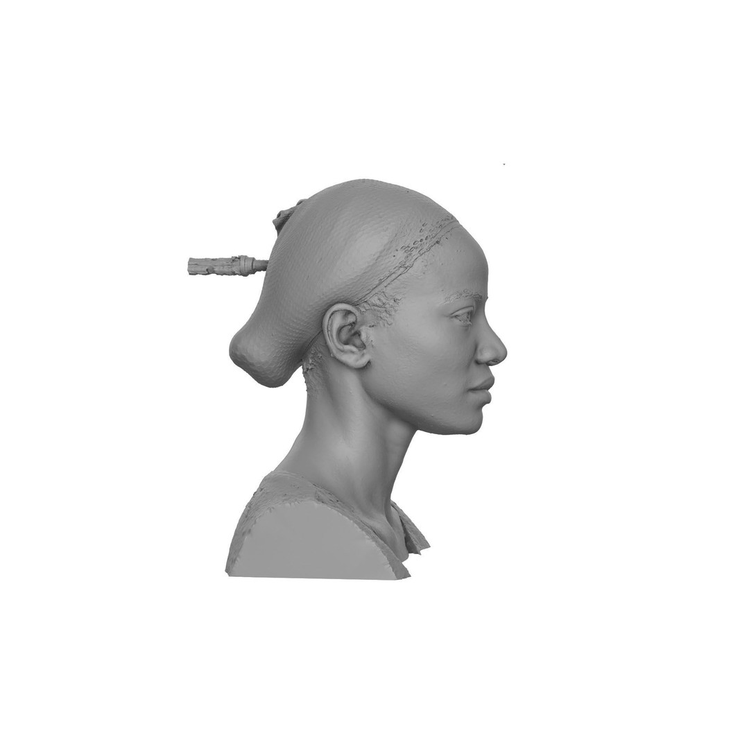 Raw Head Scan Bshara Henry 3D Model – Unique Female Portrait, OBJ - View 8