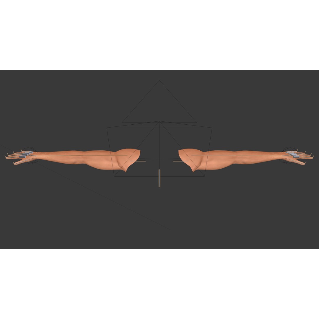 Rigged Arms 3D Model – Low Poly Game Asset, FBX, PBR Textures - View 10