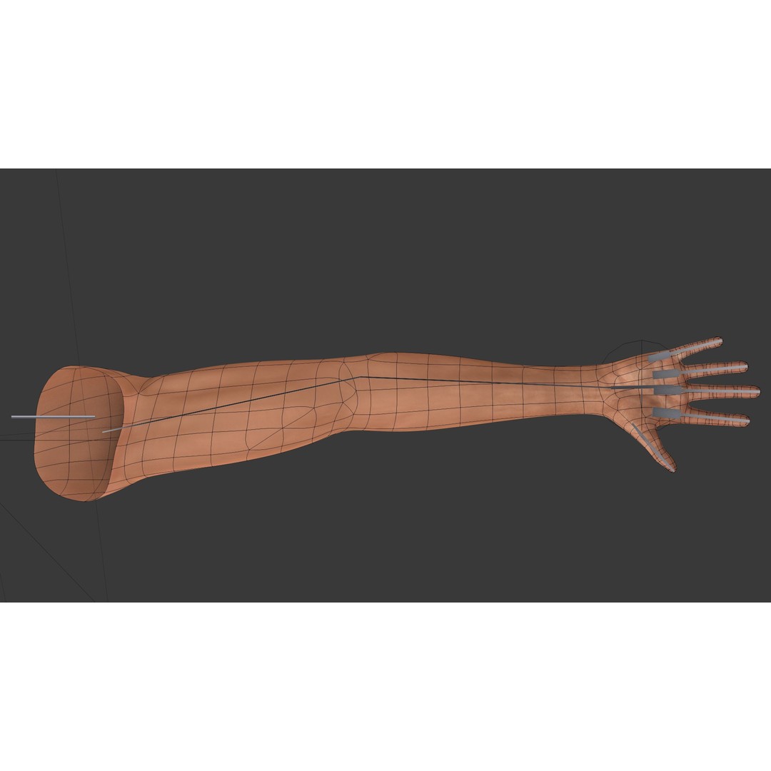 Rigged Arms 3D Model – Low Poly Game Asset, FBX, PBR Textures - View 12