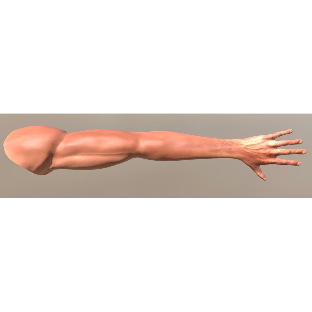Rigged Arms 3D Model – Low Poly Game Asset, FBX, PBR Textures - View 13