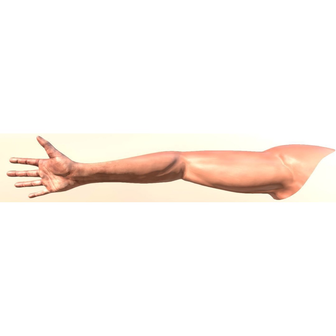 Rigged Arms 3D Model – Low Poly Game Asset, FBX, PBR Textures - View 14