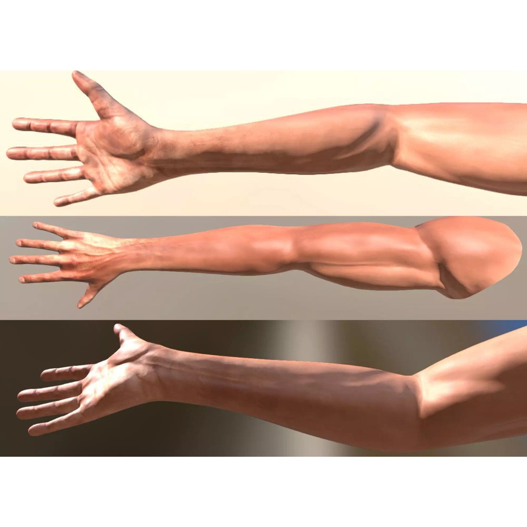 Rigged Arms 3D Model – Low Poly Game Asset, FBX, PBR Textures - View 2