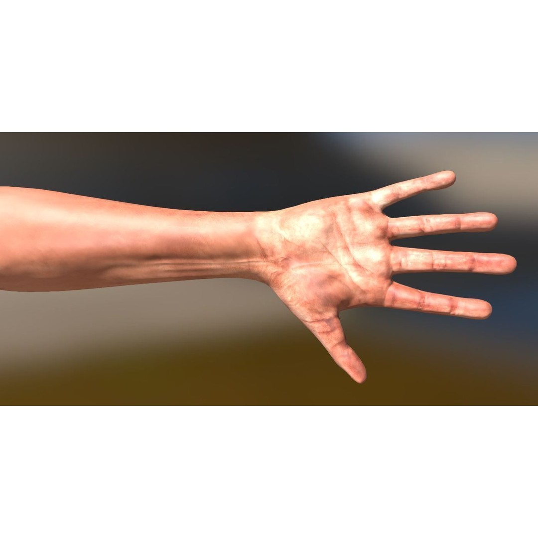 Rigged Arms 3D Model – Low Poly Game Asset, FBX, PBR Textures - View 3