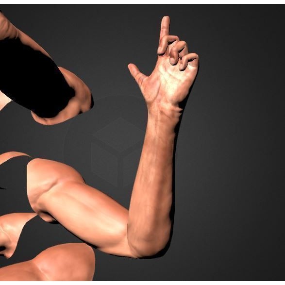 Rigged Arms 3D Model – Low Poly Game Asset, FBX, PBR Textures - View 4
