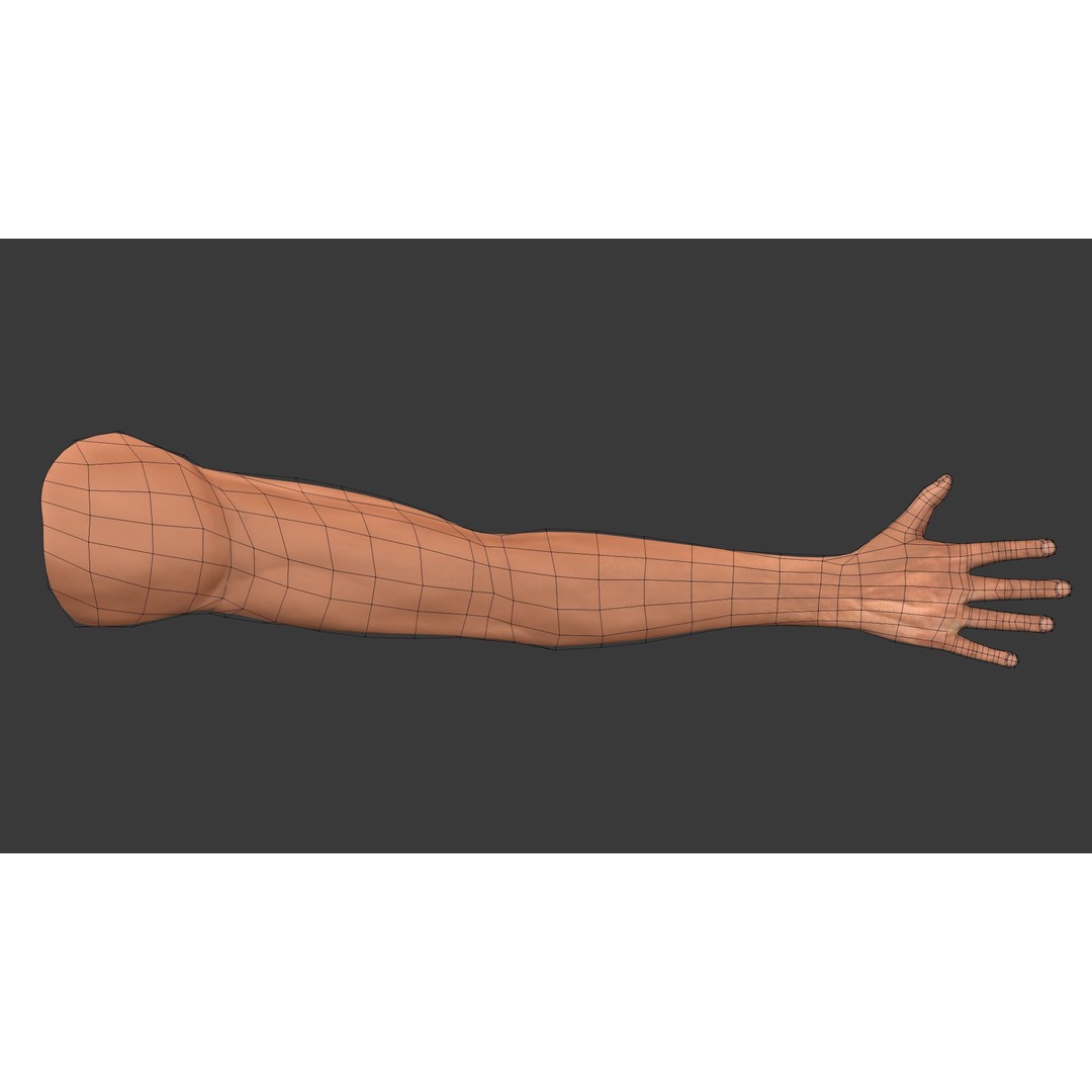 Rigged Arms 3D Model – Low Poly Game Asset, FBX, PBR Textures - View 6