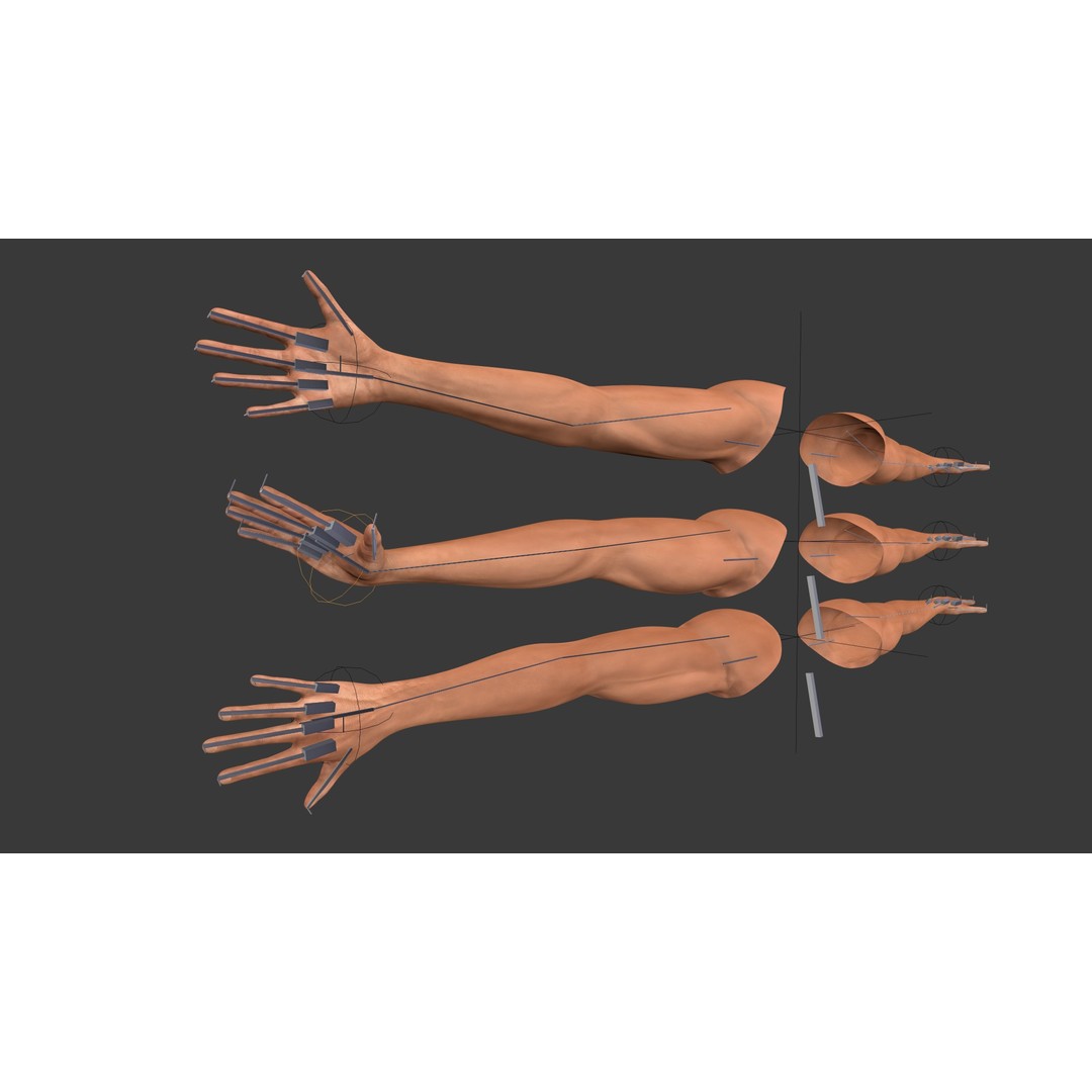 Rigged Arms 3D Model – Low Poly Game Asset, FBX, PBR Textures - View 7