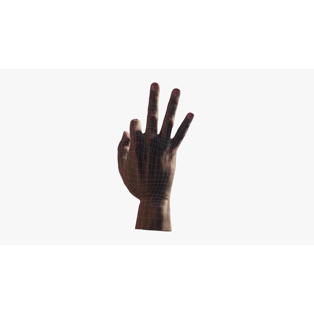 Ok Hand Gesture 3D Model – Low Poly Rigged Character for Animation - View 10