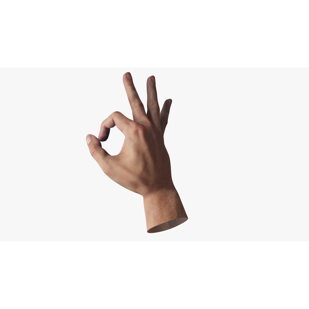 Ok Hand Gesture 3D Model – Low Poly Rigged Character for Animation - View 3