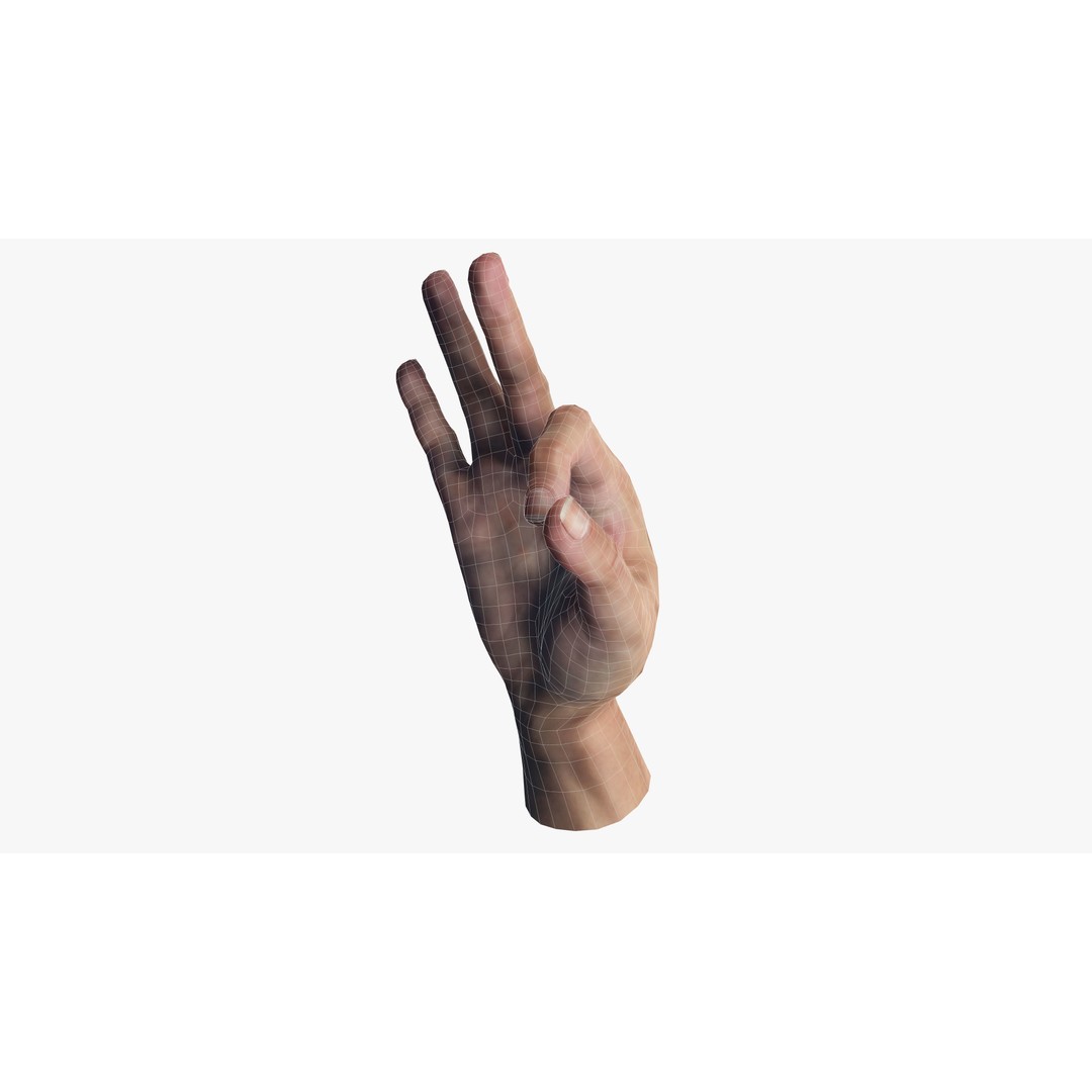 Ok Hand Gesture 3D Model – Low Poly Rigged Character for Animation - View 6