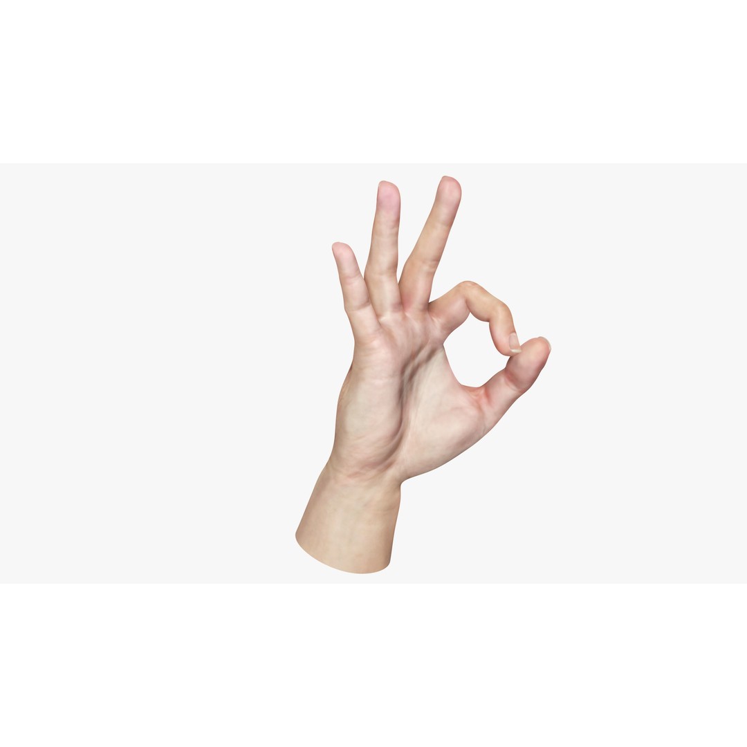 Ok Hand Gesture 3D Model – Low Poly Rigged Character for Animation - View 7