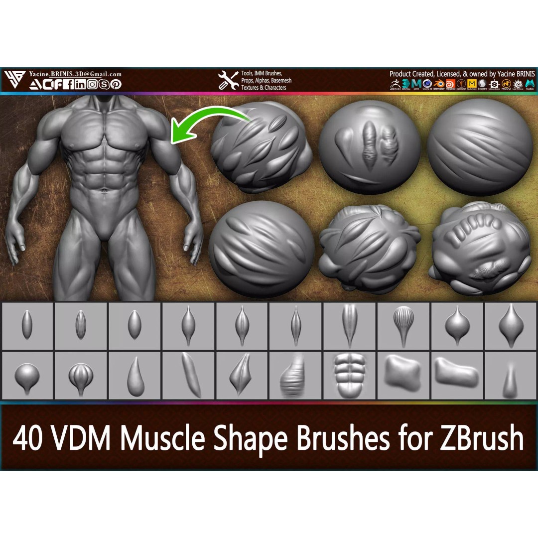 40 VDM Muscle Shape Brushes 3D Model – Low Poly ZBrush Asset - View 2