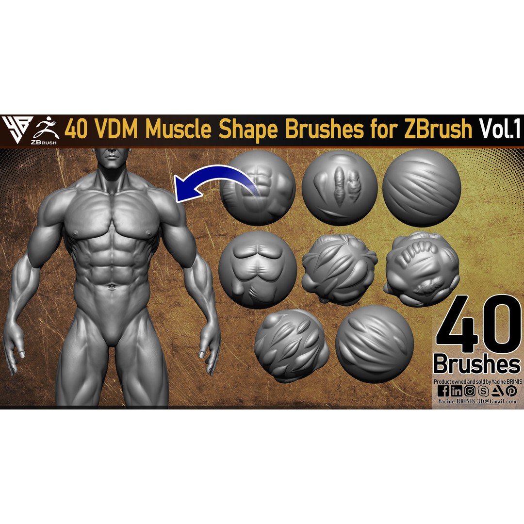 40 VDM Muscle Shape Brushes 3D Model – Low Poly ZBrush Asset - View 4