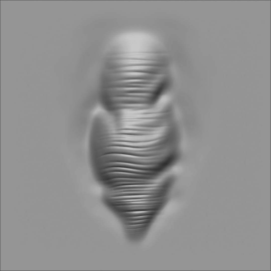 40 VDM Muscle Shape Brushes 3D Model – Low Poly ZBrush Asset - View 44