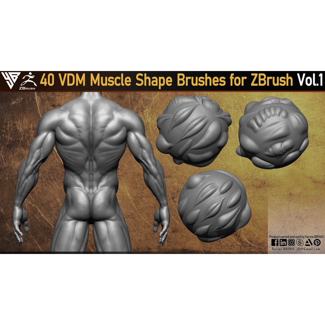 40 VDM Muscle Shape Brushes 3D Model – Low Poly ZBrush Asset - View 7
