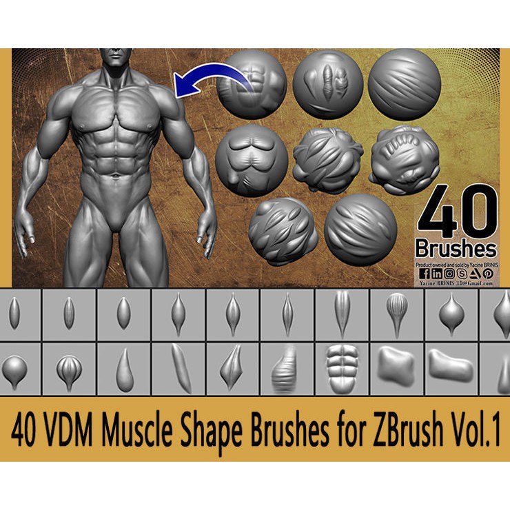 40 VDM Muscle Shape Brushes 3D Model – Low Poly ZBrush Asset - View 8
