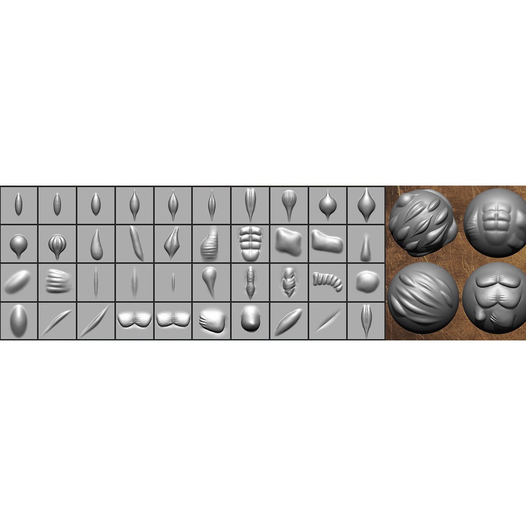 40 VDM Muscle Shape Brushes 3D Model – Low Poly ZBrush Asset - View 9