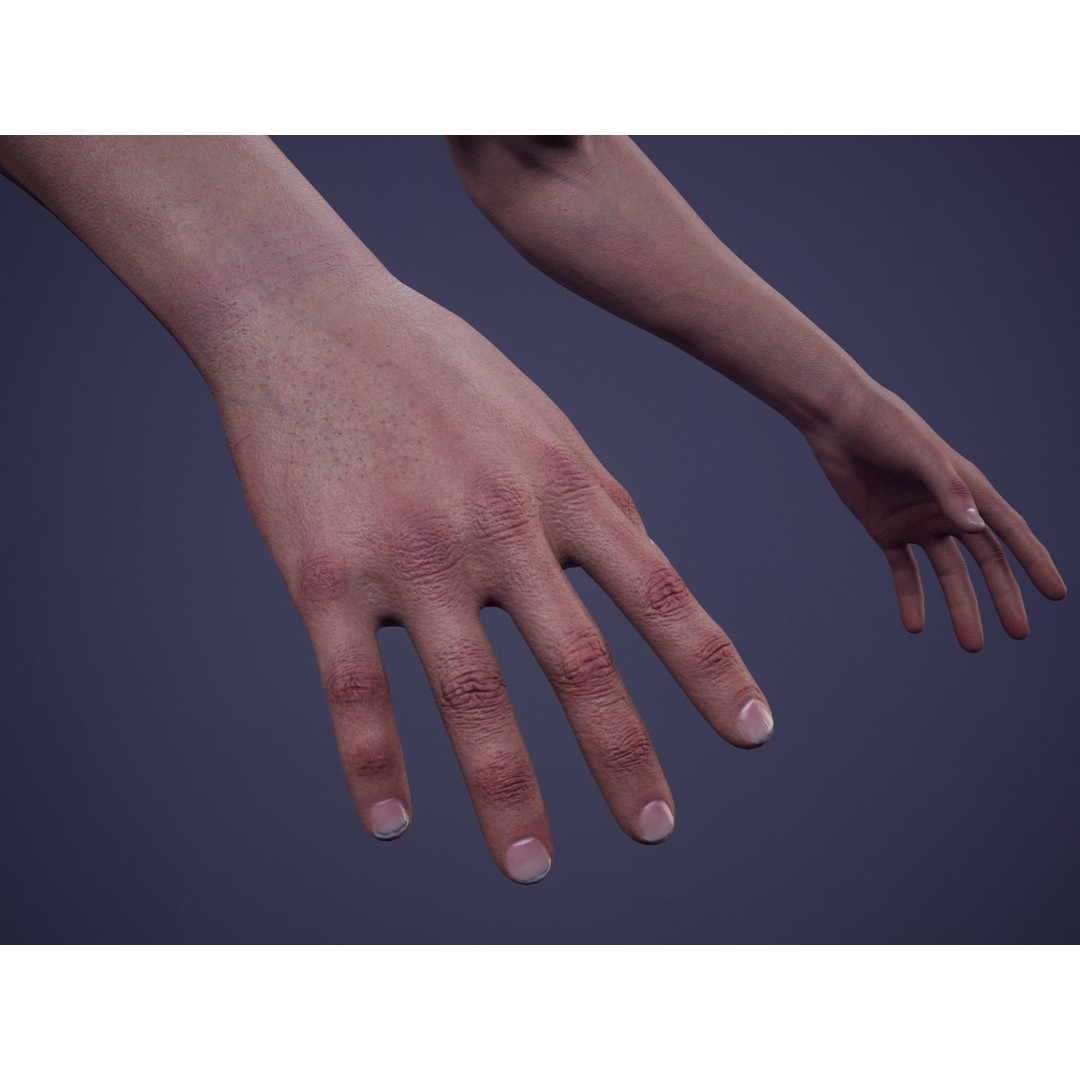 First Person Arms 3D Model – Low Poly Game Ready Rigged Hands, FBX - View 13