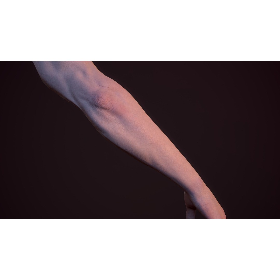 First Person Arms 3D Model – Low Poly Game Ready Rigged Hands, FBX - View 15