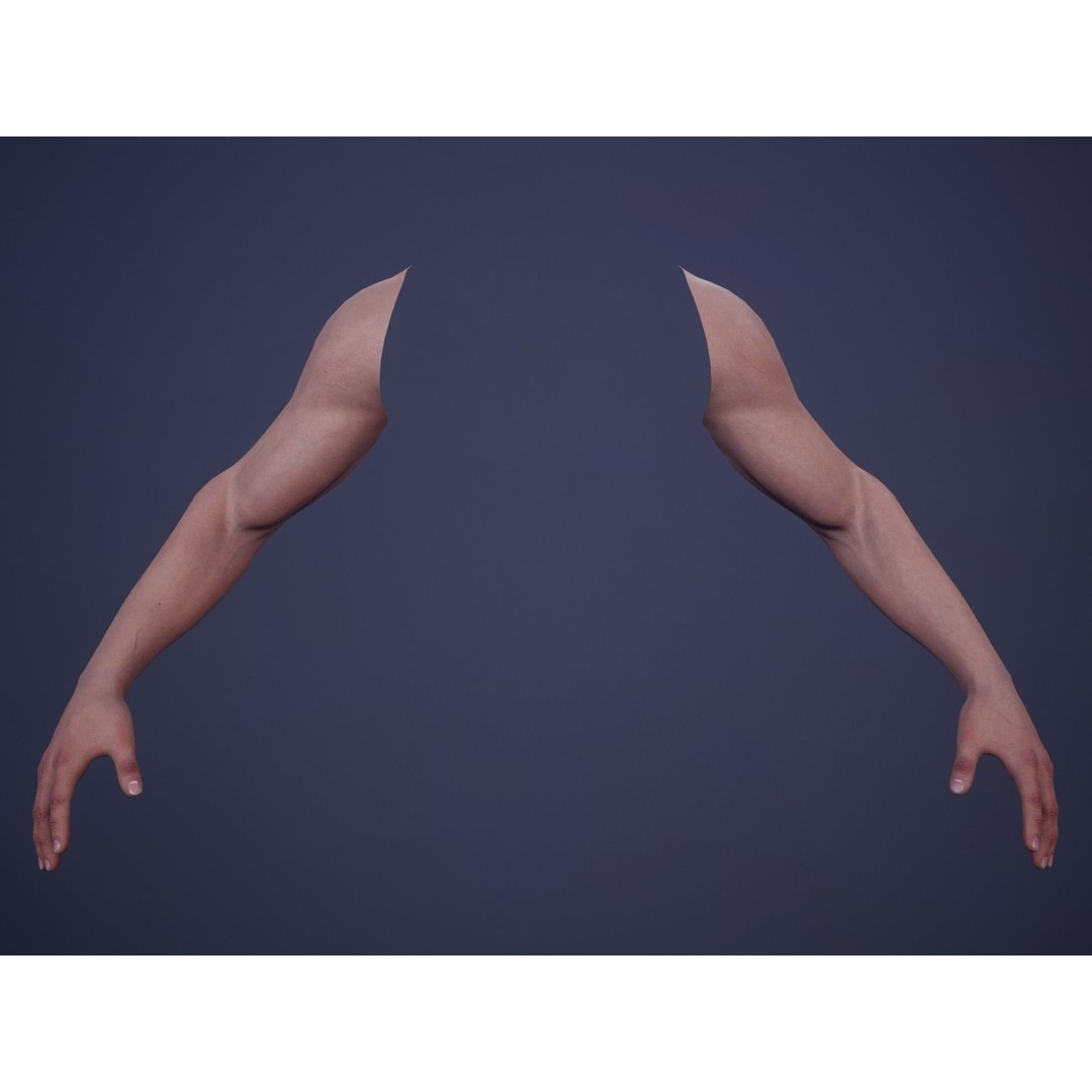 First Person Arms 3D Model – Low Poly Game Ready Rigged Hands, FBX - View 17