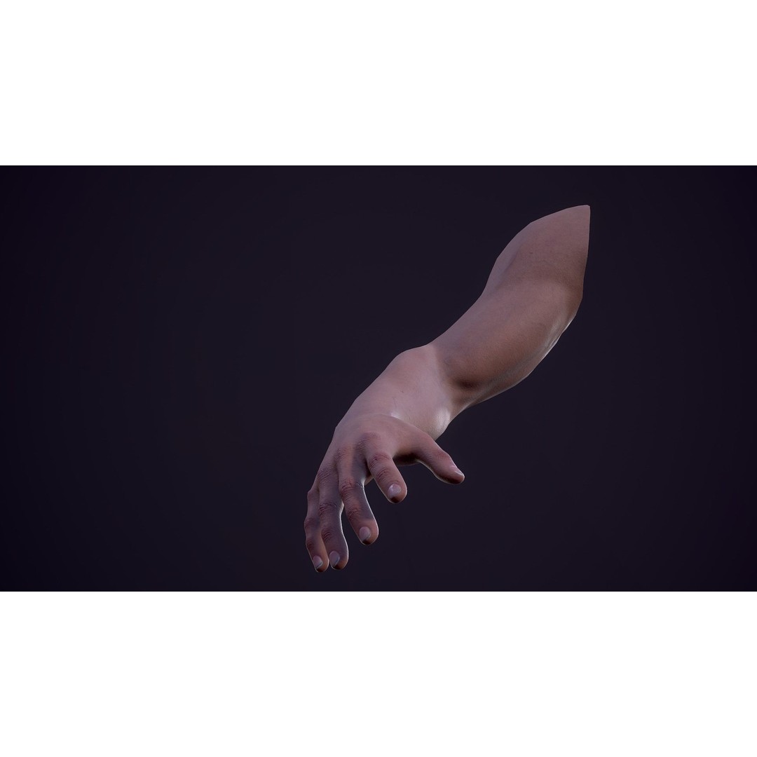 First Person Arms 3D Model – Low Poly Game Ready Rigged Hands, FBX - View 18