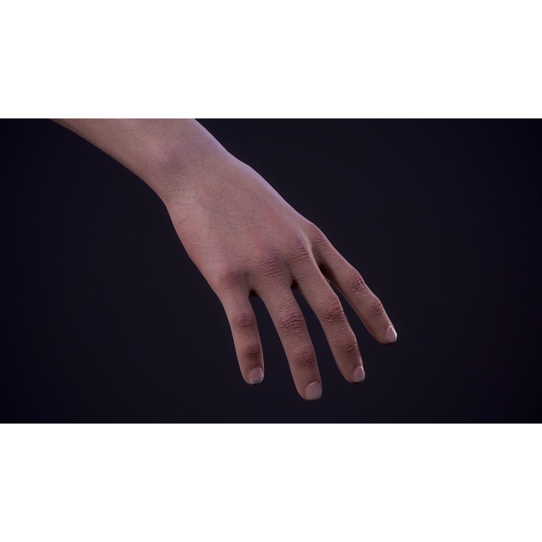 First Person Arms 3D Model – Low Poly Game Ready Rigged Hands, FBX - View 19