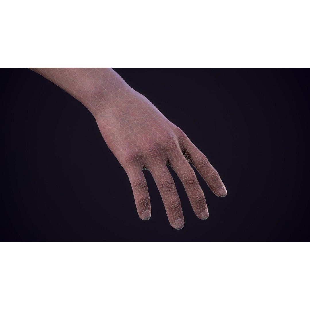 First Person Arms 3D Model – Low Poly Game Ready Rigged Hands, FBX - View 22