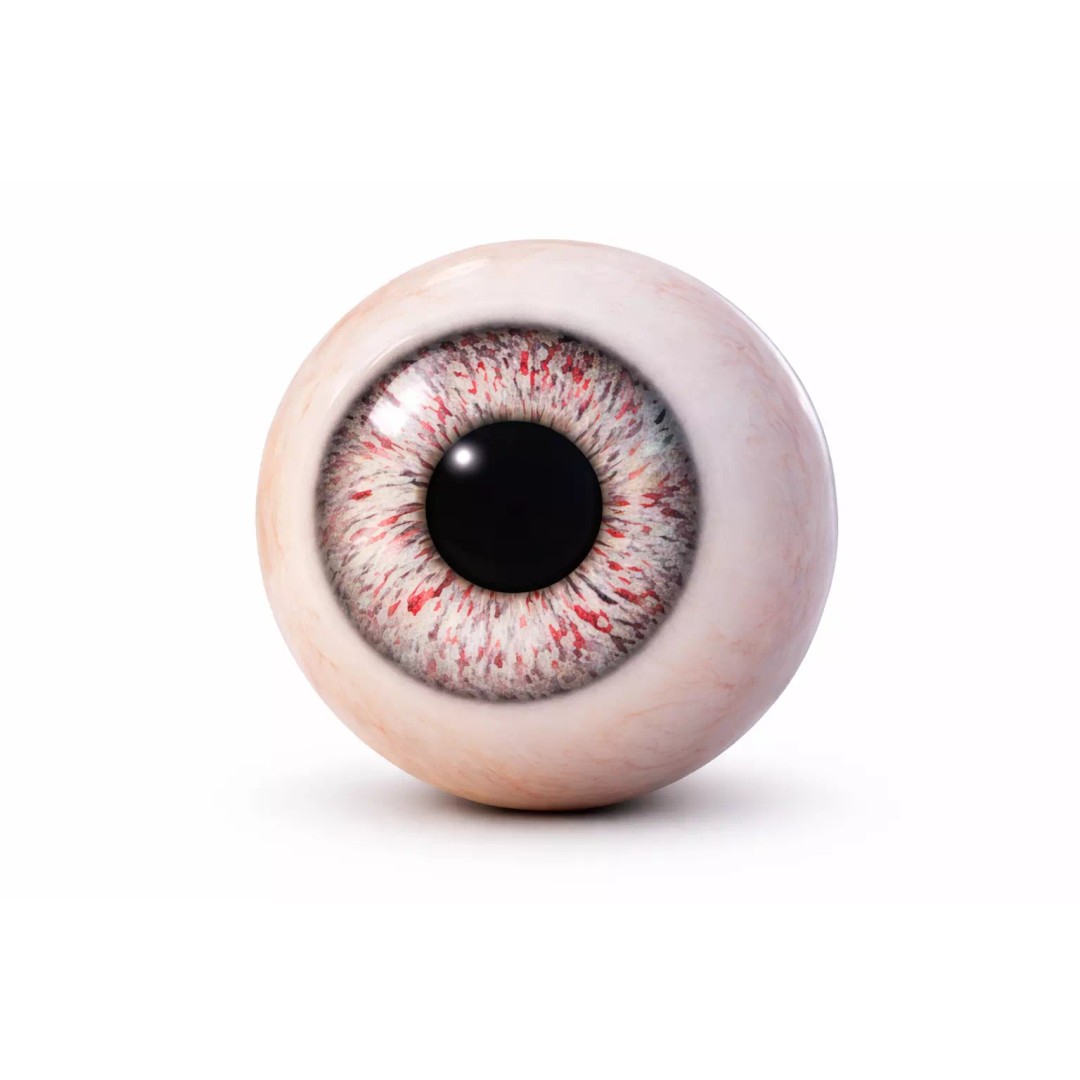 Human Eye 3D Model – Ultra Realistic Procedural Shader, 4K - View 2