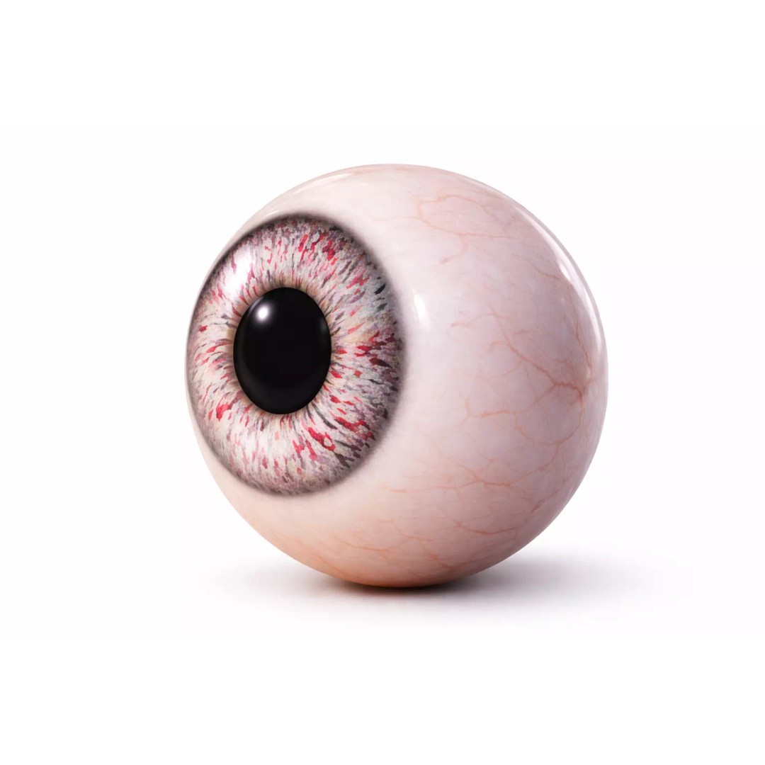 Human Eye 3D Model – Ultra Realistic Procedural Shader, 4K - View 3