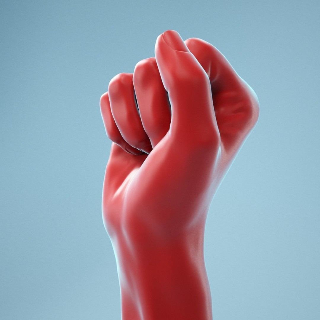 Realistic Fist Hand 3D Model – High Poly PBR Scan, FBX & OBJ - View 12