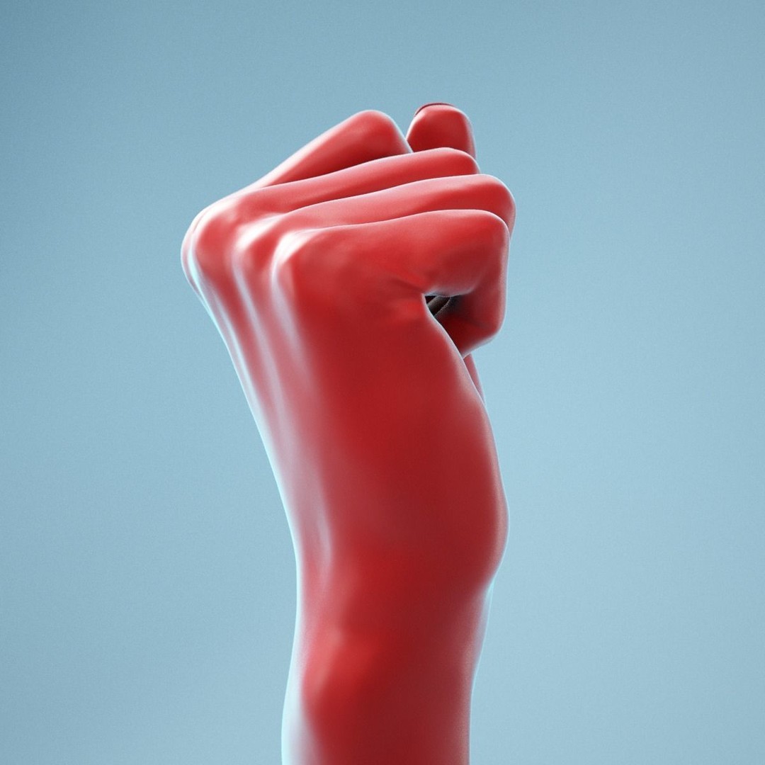 Realistic Fist Hand 3D Model – High Poly PBR Scan, FBX & OBJ - View 5